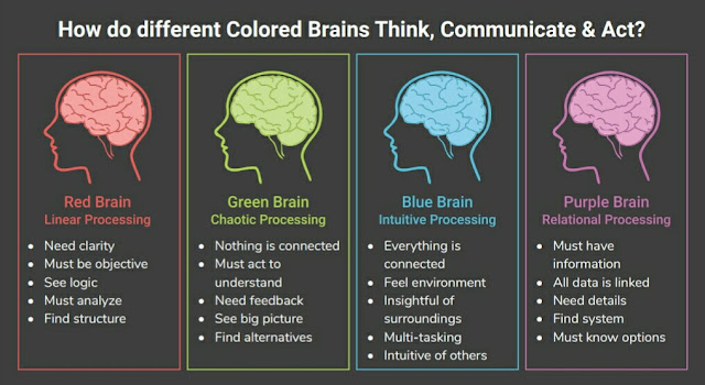 Four Brain Colors